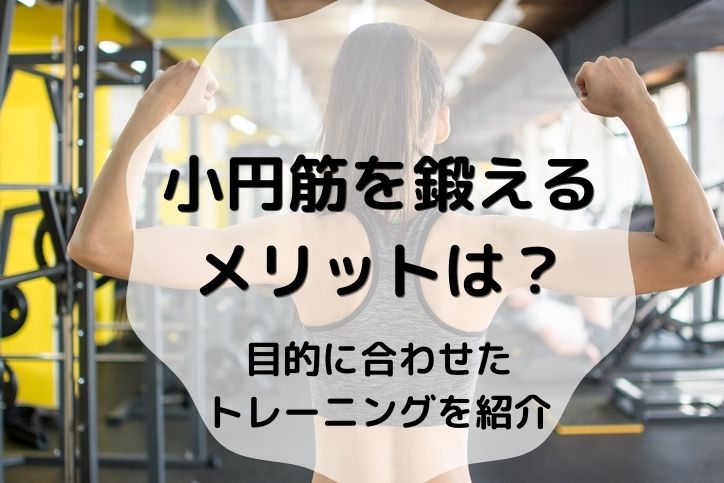 小円筋を鍛えるメリットは 目的に合わせたトレーニングを紹介 Sposhiru Com 小円筋を鍛えるメリットは 目的に合わせたトレーニングを紹介 Sposhiru Com