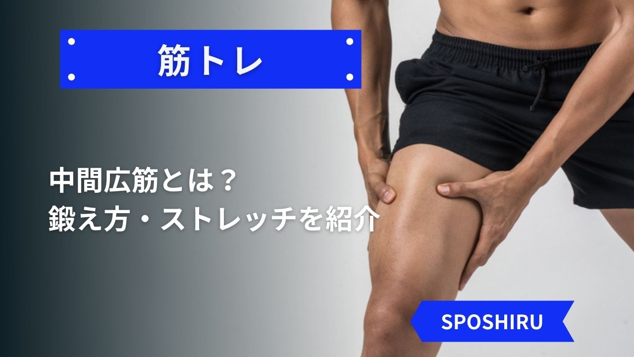 中間広筋とは 鍛え方 ストレッチを紹介 Sposhiru Com 中間広筋とは 鍛え方 ストレッチを紹介 Sposhiru Com