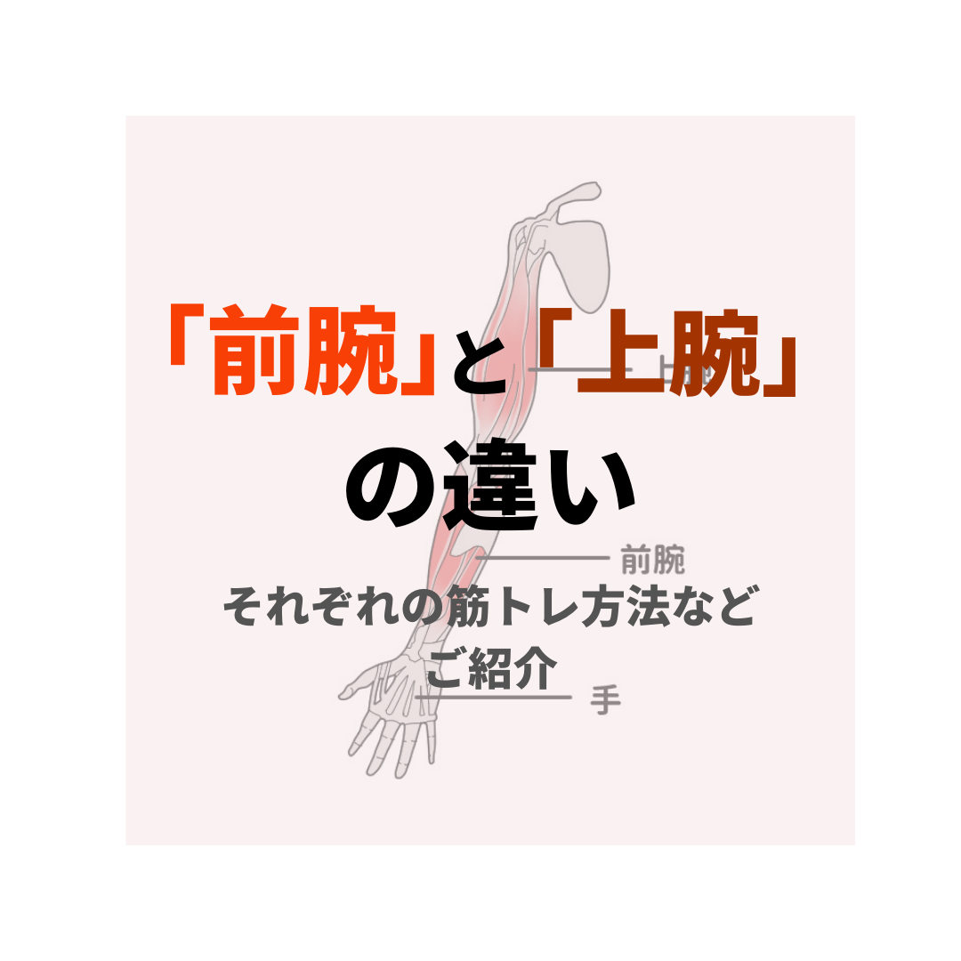 上腕 と 前腕 の違いは それぞれの筋トレ方法も合わせてご紹介 Sposhiru Com