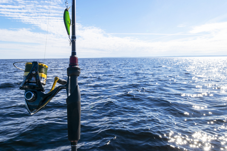 サワラとはどんな魚？サワラ釣りの基礎知識について詳しく解説！